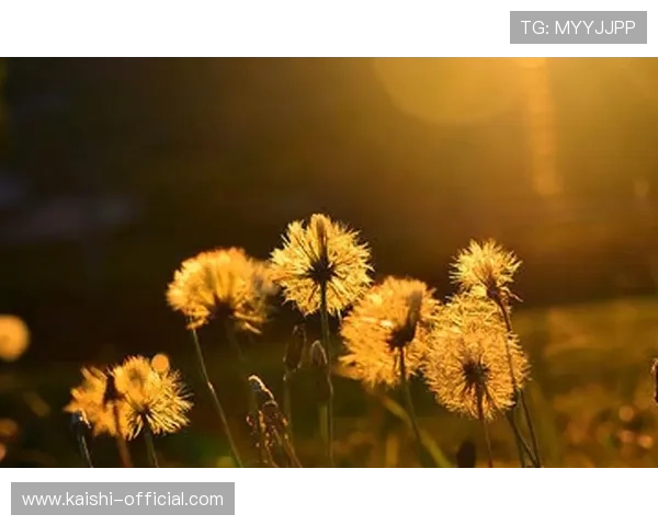 尊龙凯时人生就是用行动书写属于自己的精彩篇章